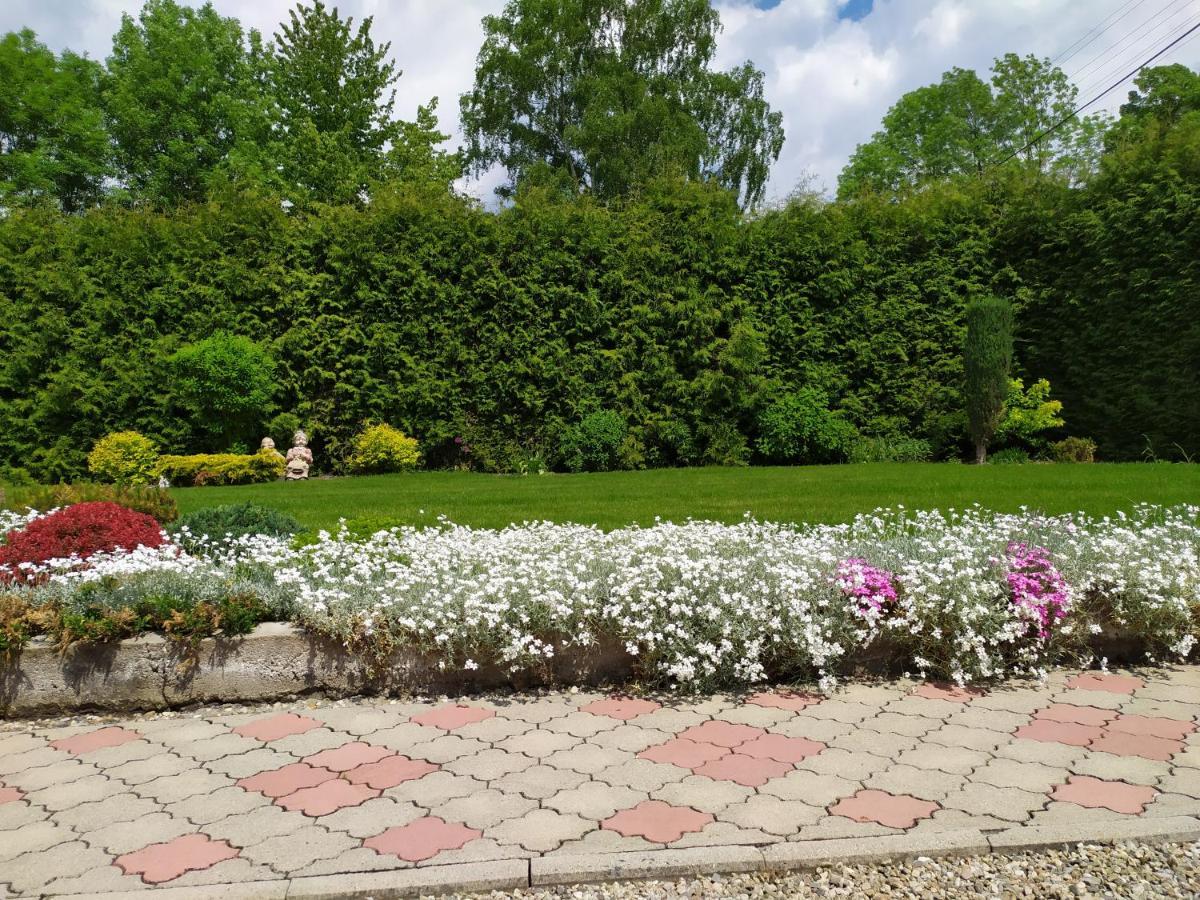 Apartmány Okoun Velké Losiny Esterno foto